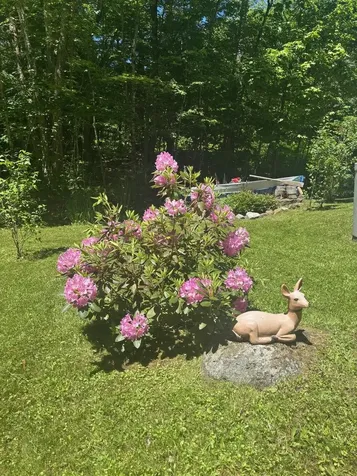 530 Marlow Road Washington NH 03280
