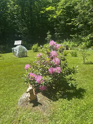 530 Marlow Road Washington NH 03280