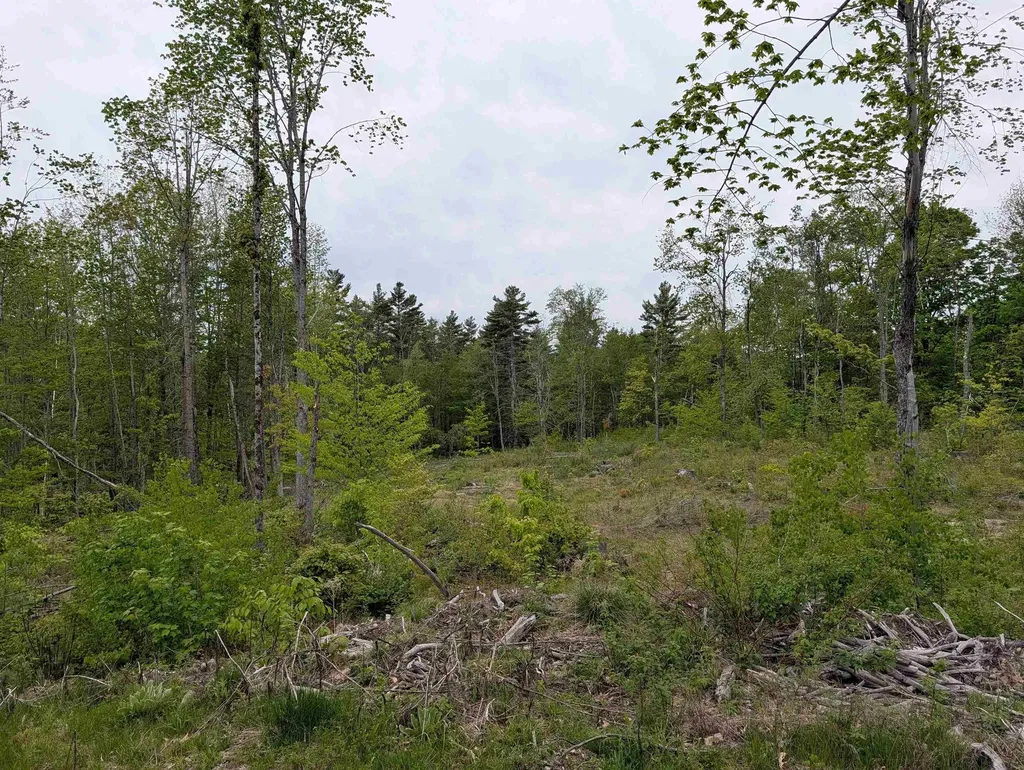 367 Height Of Land Road Grafton NH 03740