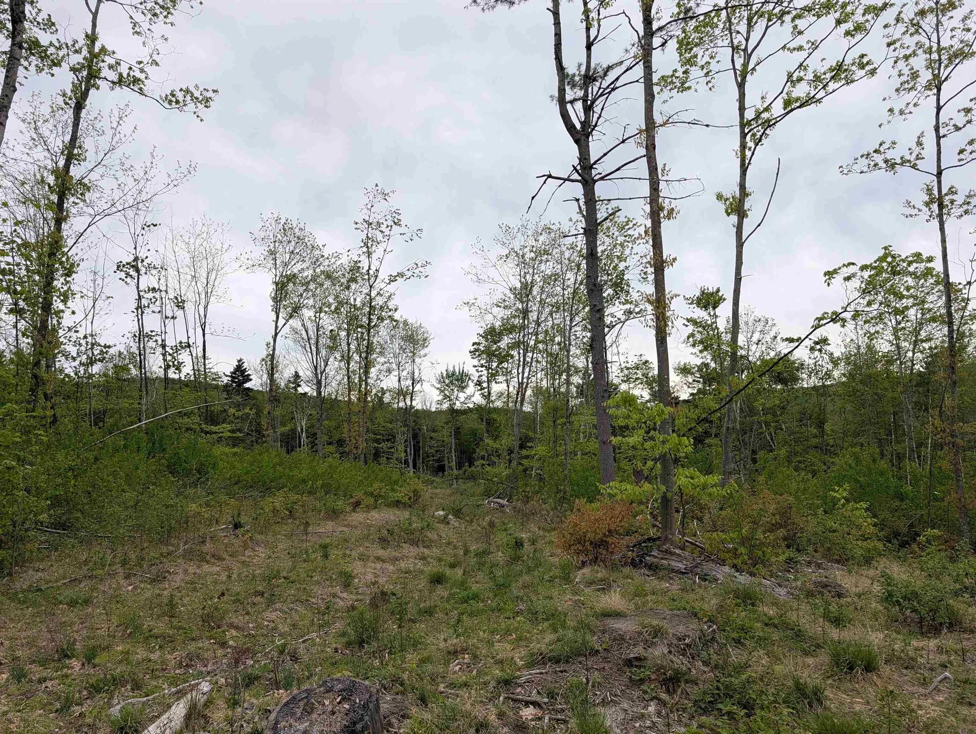 367 Height Of Land Road Grafton NH 03740