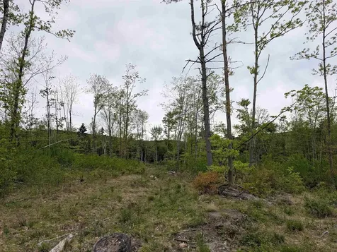 367 Height Of Land Road Grafton NH 03740