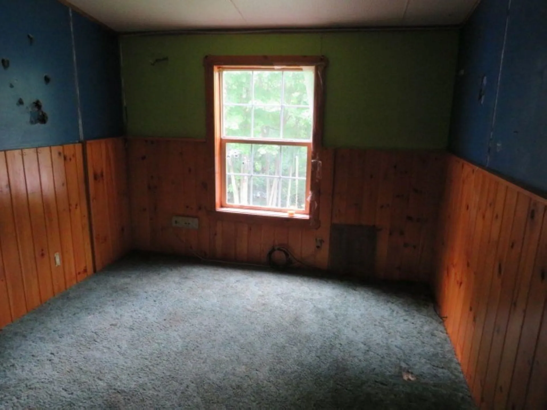 229 Longmoore Drive Ryegate VT 05042
