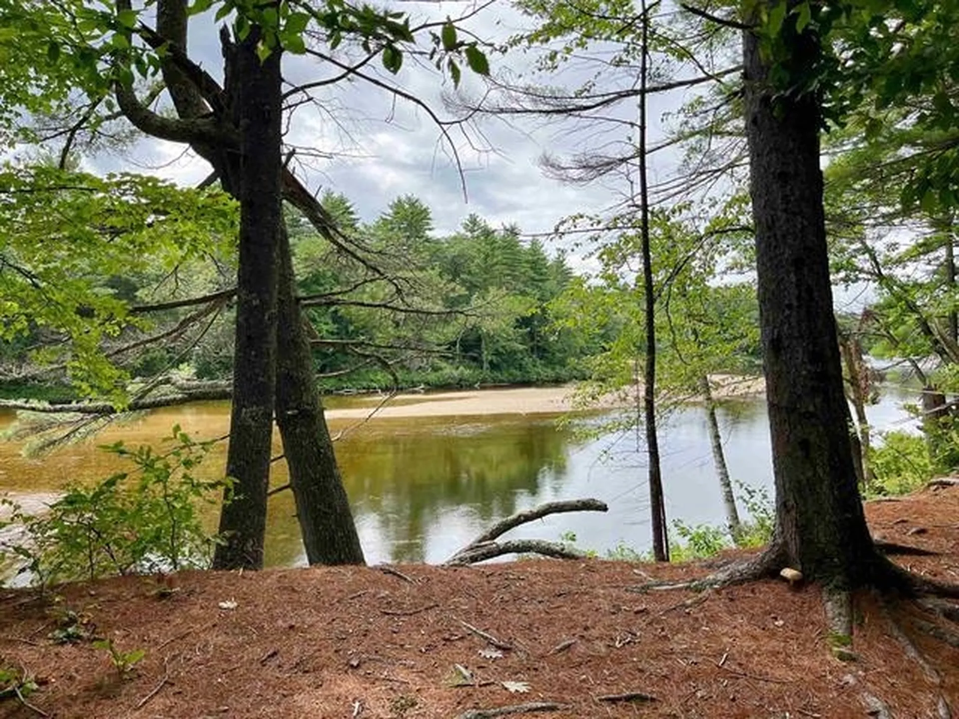33 Buckingham Drive Conway NH 03860