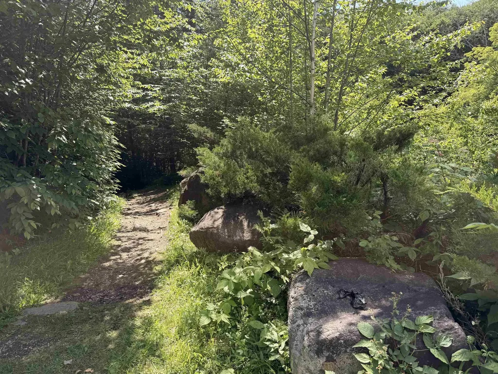 28 Tyler Spring Way Waterville Valley NH 03215