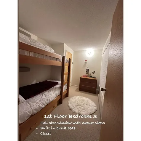 28 Tyler Spring Way Waterville Valley NH 03215