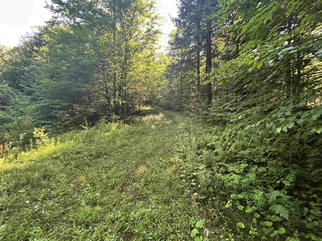 0 Rose Lane Londonderry VT 05148