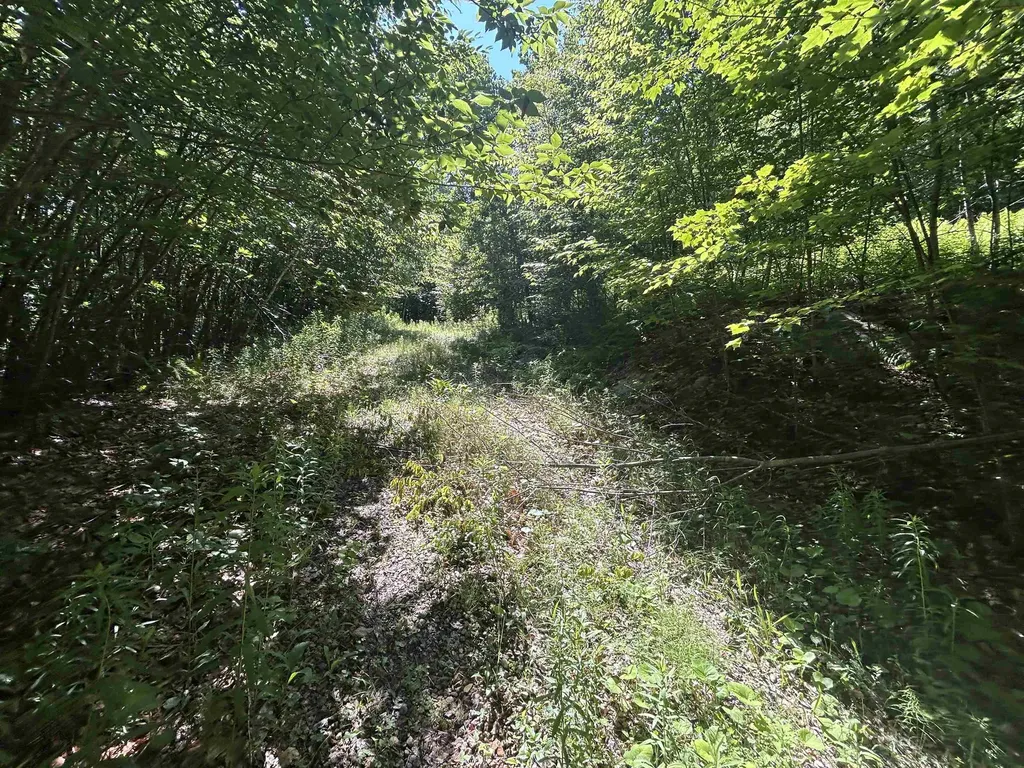 0 Rose Lane Londonderry VT 05148