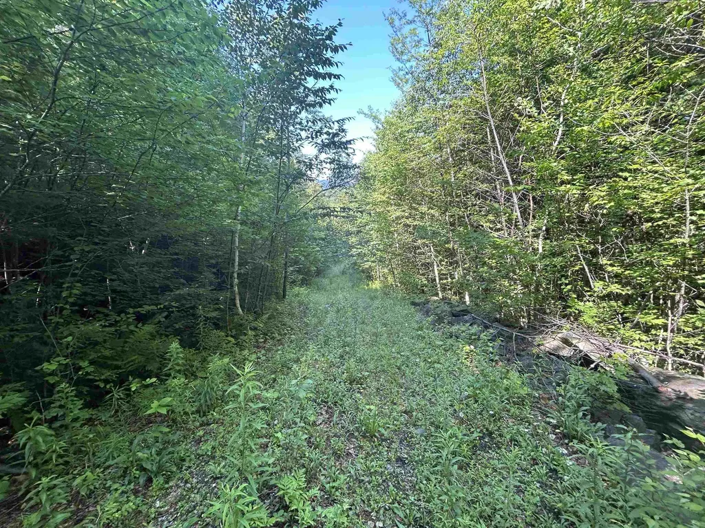0 Rose Lane Londonderry VT 05148