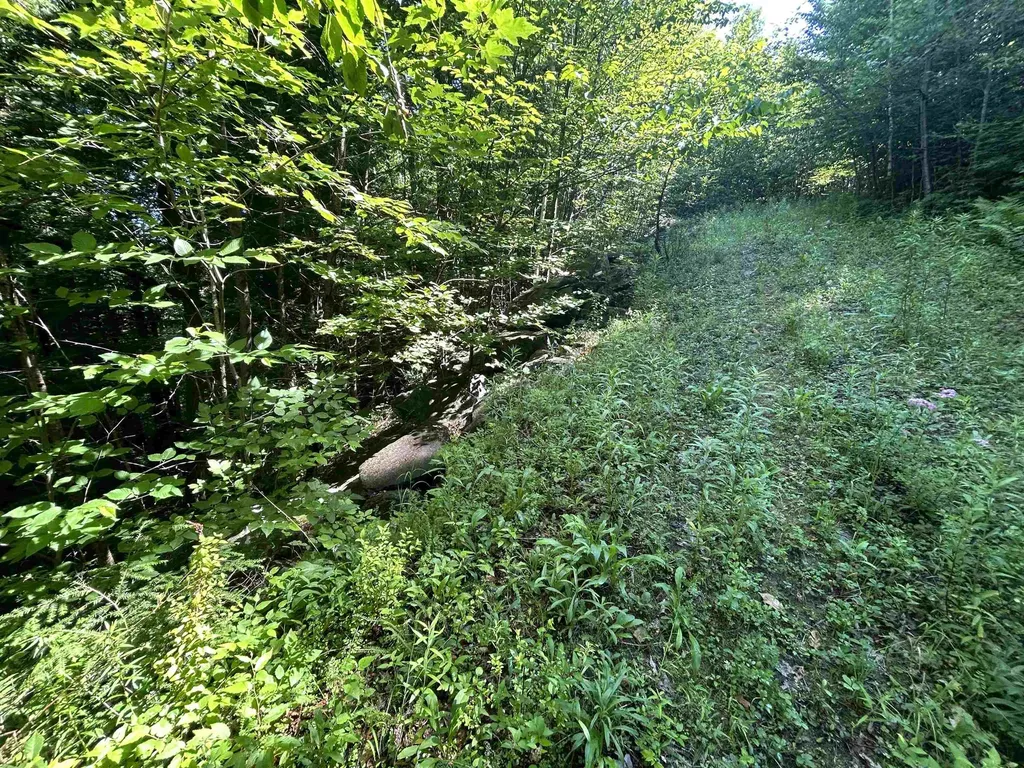 0 Rose Lane Londonderry VT 05148