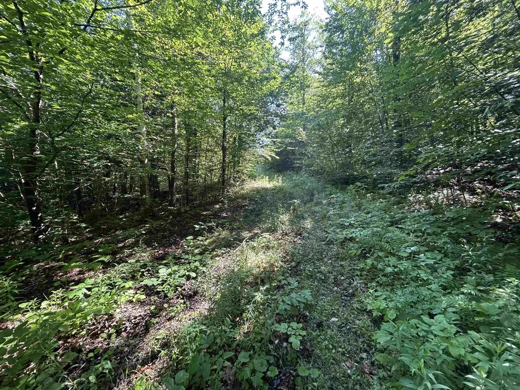 0 Rose Lane Londonderry VT 05148