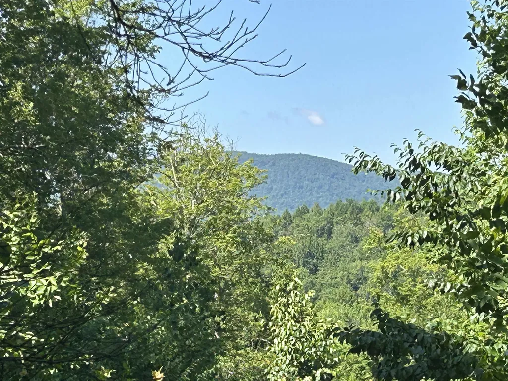 0 Rose Lane Londonderry VT 05148