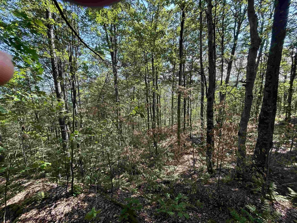 0 Rose Lane Londonderry VT 05148