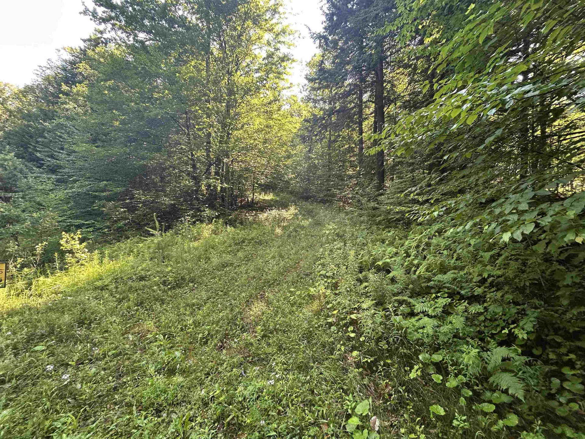 Londonderry VT, Rose Lane