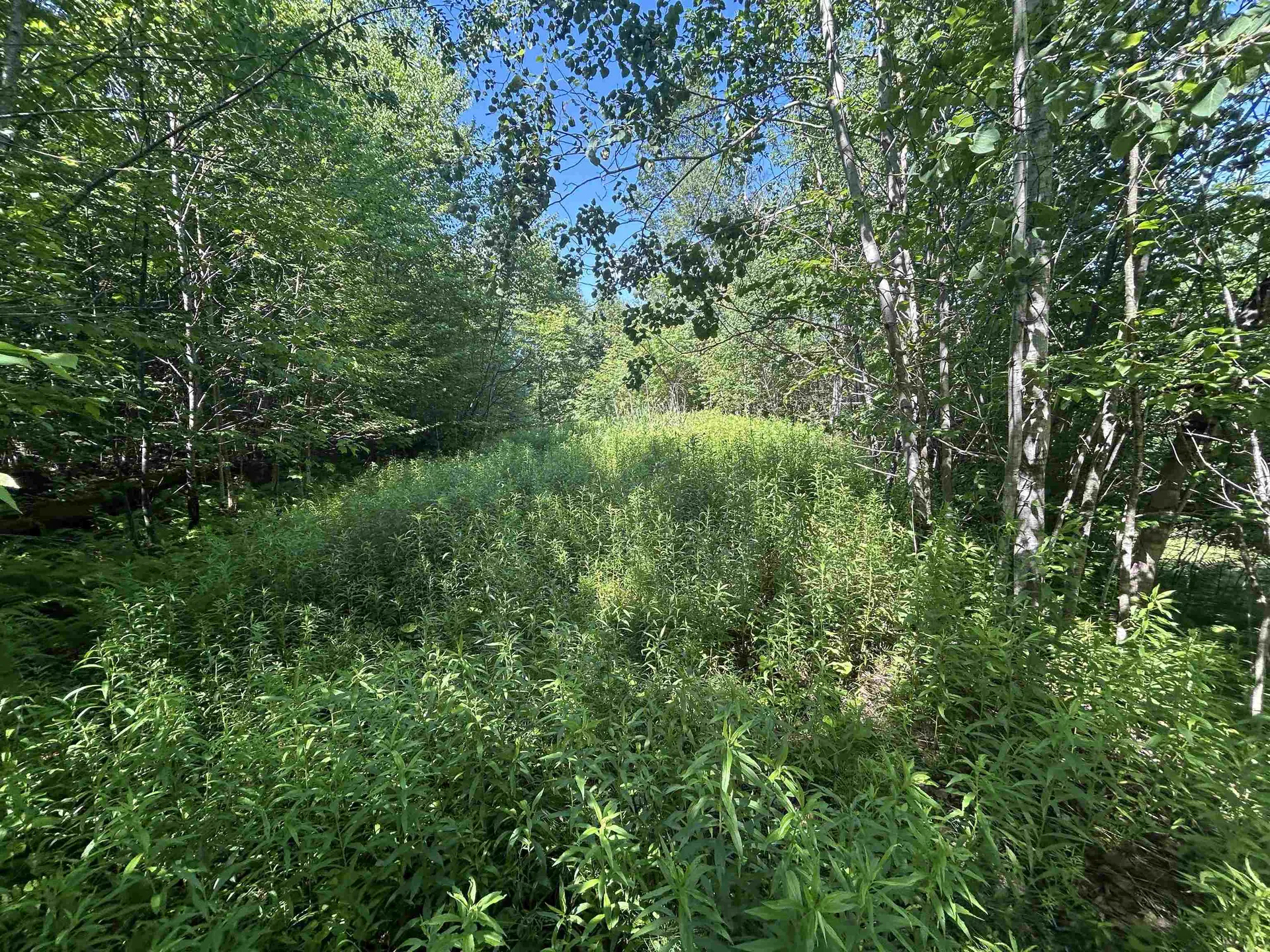 0 Rose Lane Londonderry VT 05148