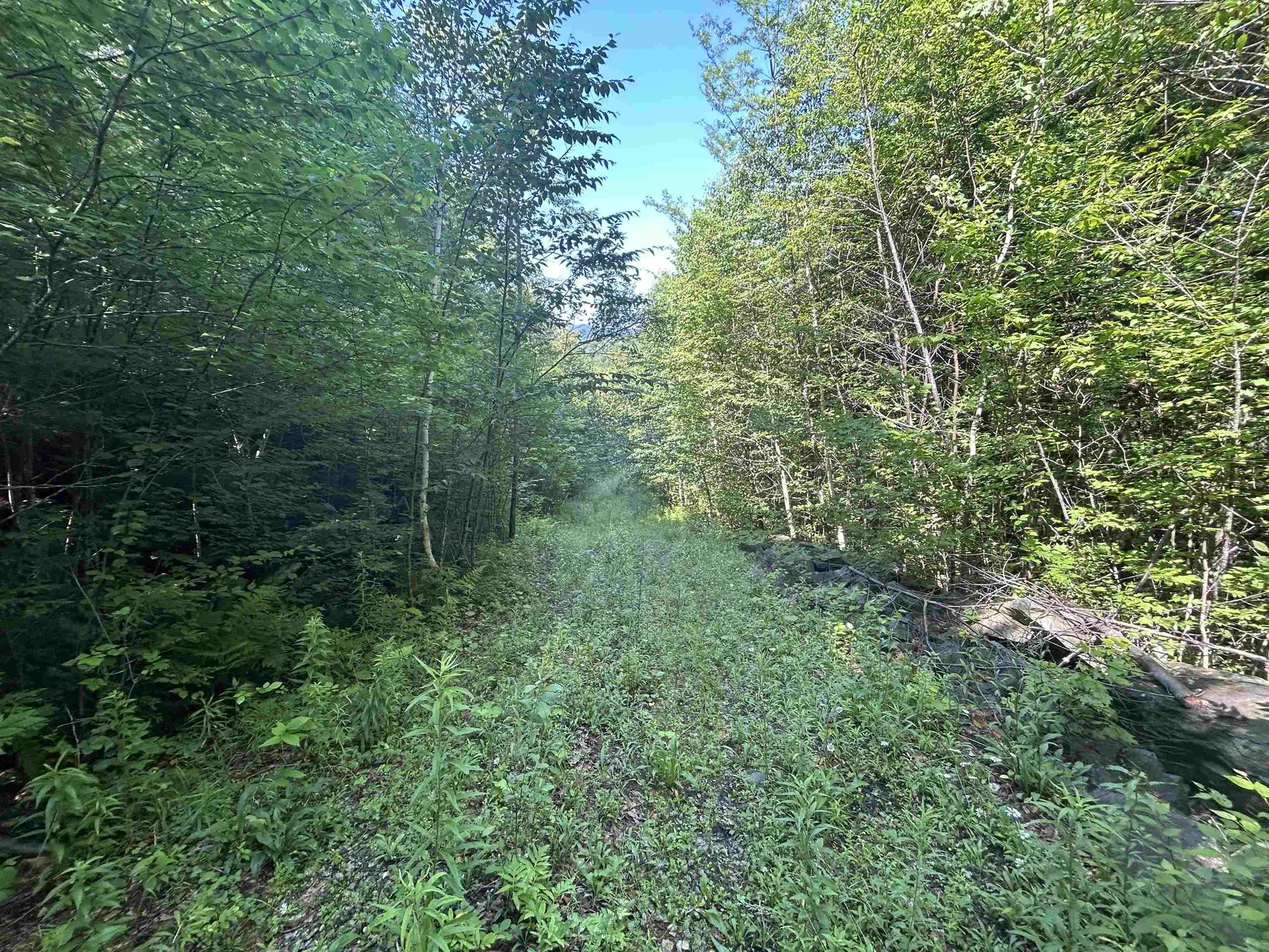 0 Rose Lane Londonderry VT 05148