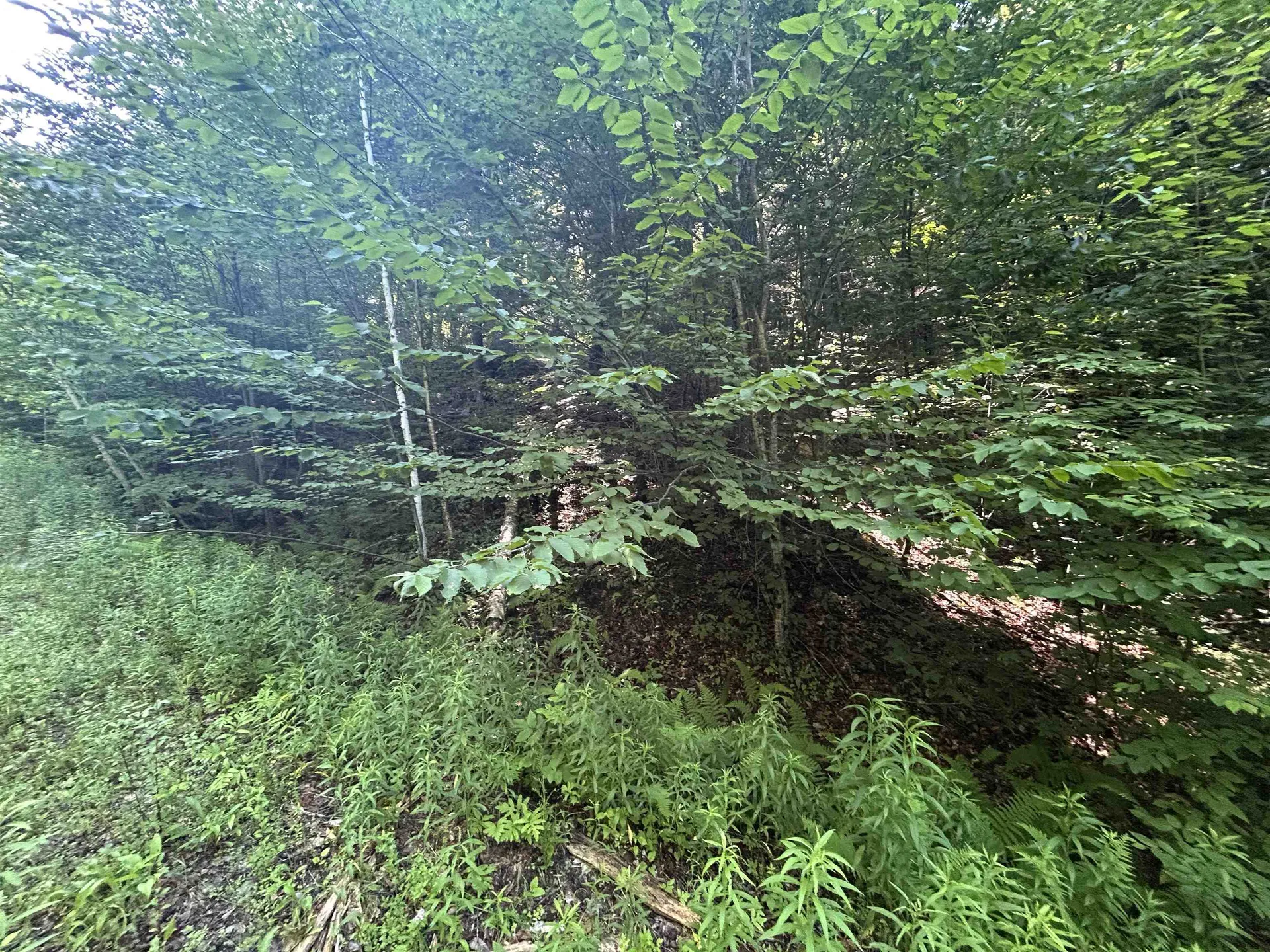 0 Rose Lane Londonderry VT 05148