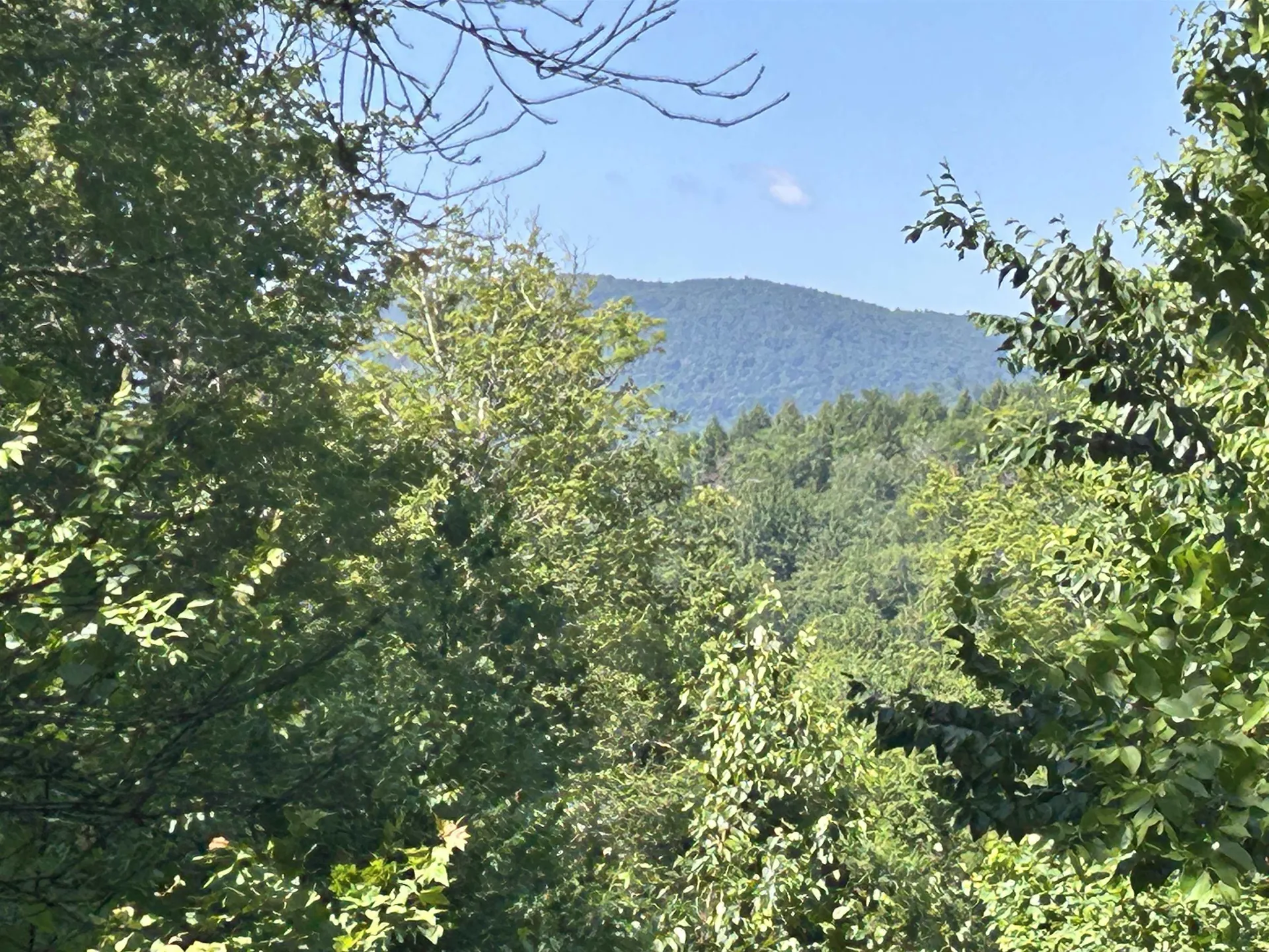 0 Rose Lane Londonderry VT 05148