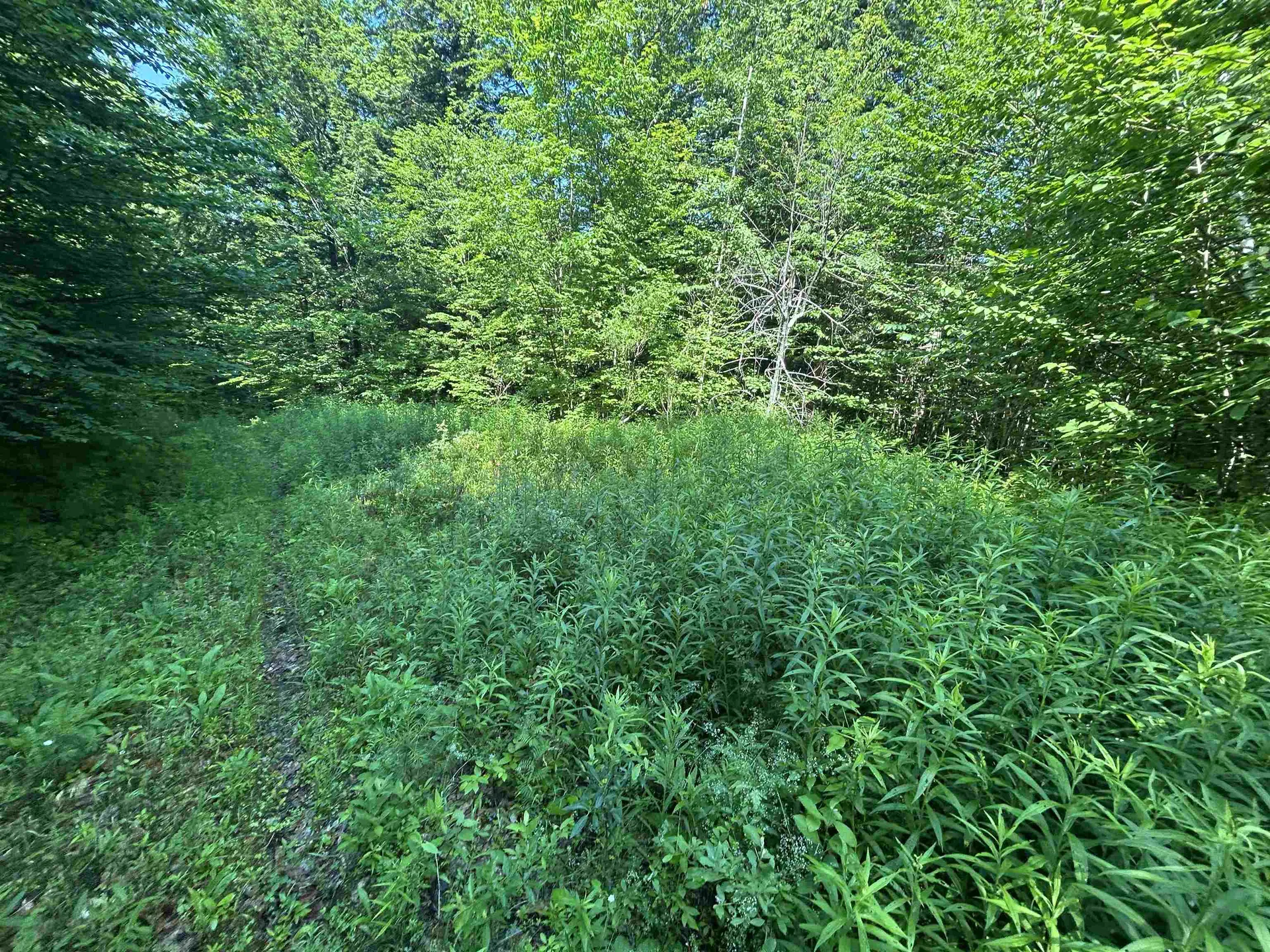 0 Rose Lane Londonderry VT 05148