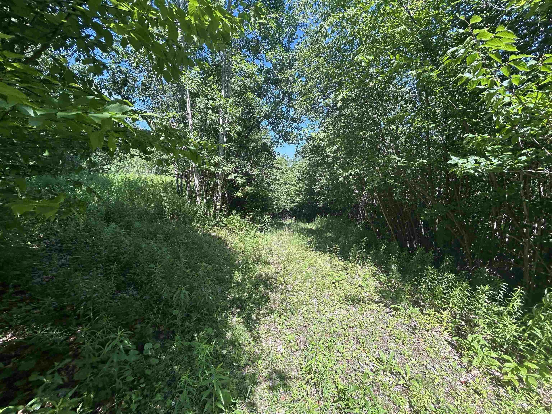 0 Rose Lane Londonderry VT 05148