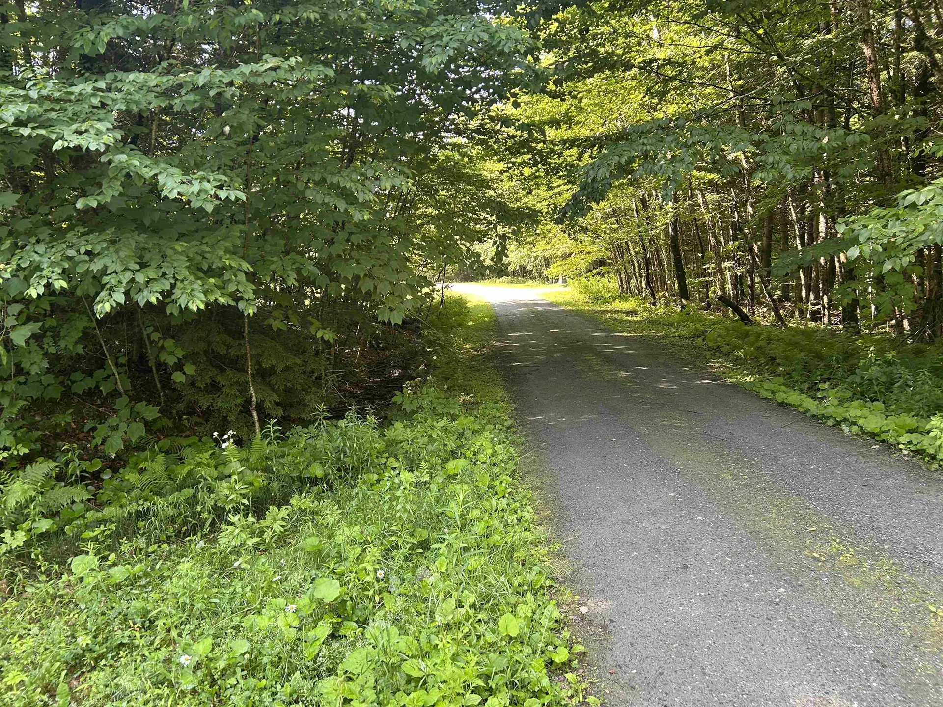 0 Rose Lane Londonderry VT 05148