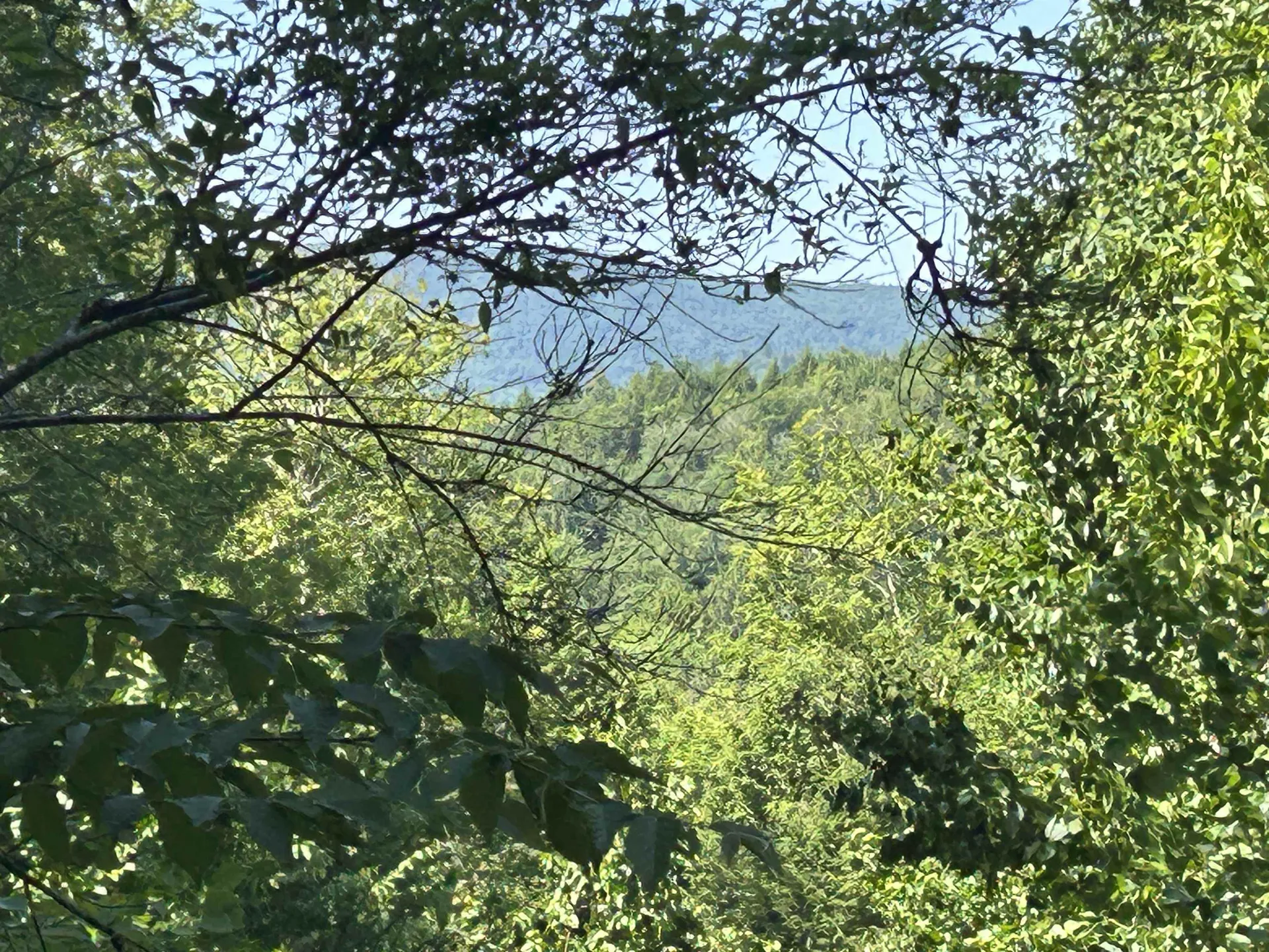 0 Rose Lane Londonderry VT 05148