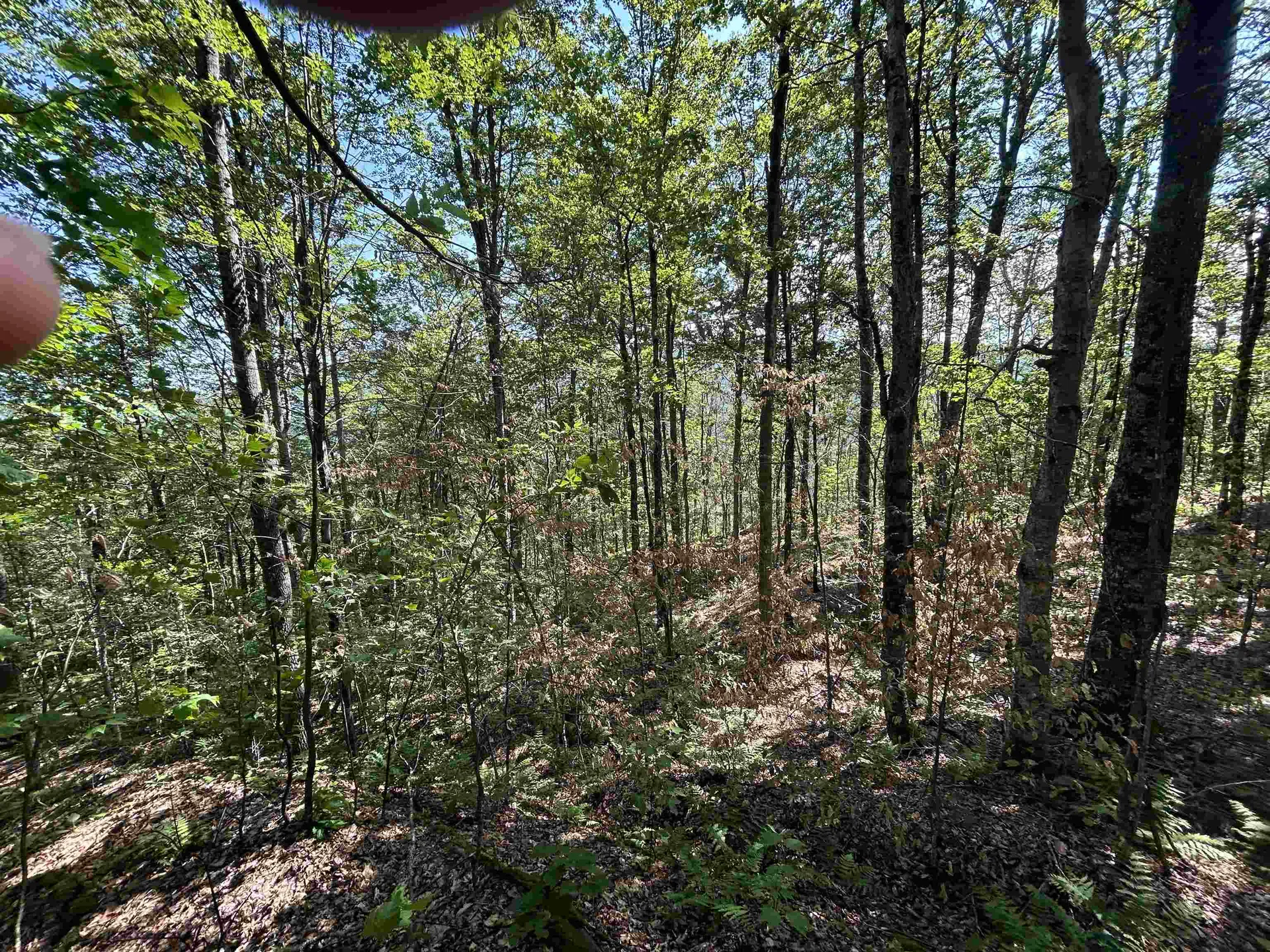 0 Rose Lane Londonderry VT 05148
