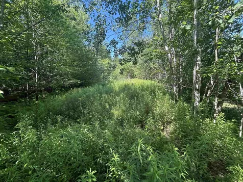 0 Rose Lane Londonderry VT 05148