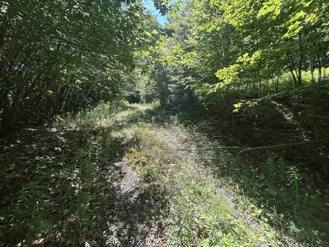 0 Rose Lane Londonderry VT 05148