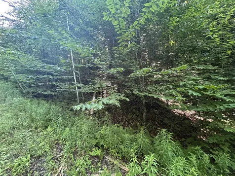 0 Rose Lane Londonderry VT 05148