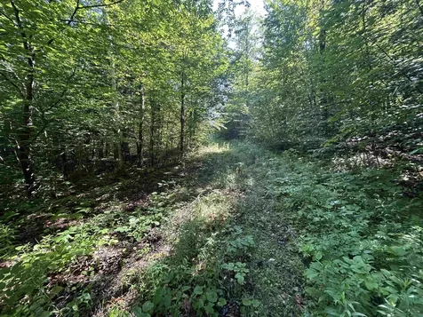 0 Rose Lane Londonderry VT 05148