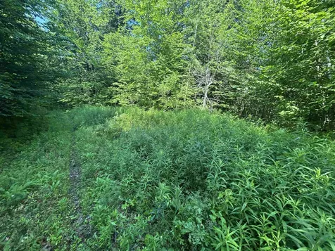 0 Rose Lane Londonderry VT 05148