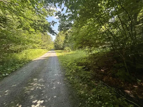 0 Rose Lane Londonderry VT 05148