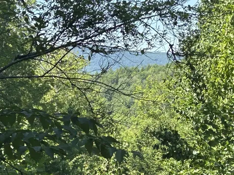 0 Rose Lane Londonderry VT 05148