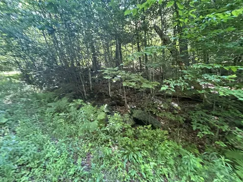 0 Rose Lane Londonderry VT 05148