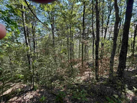 0 Rose Lane Londonderry VT 05148