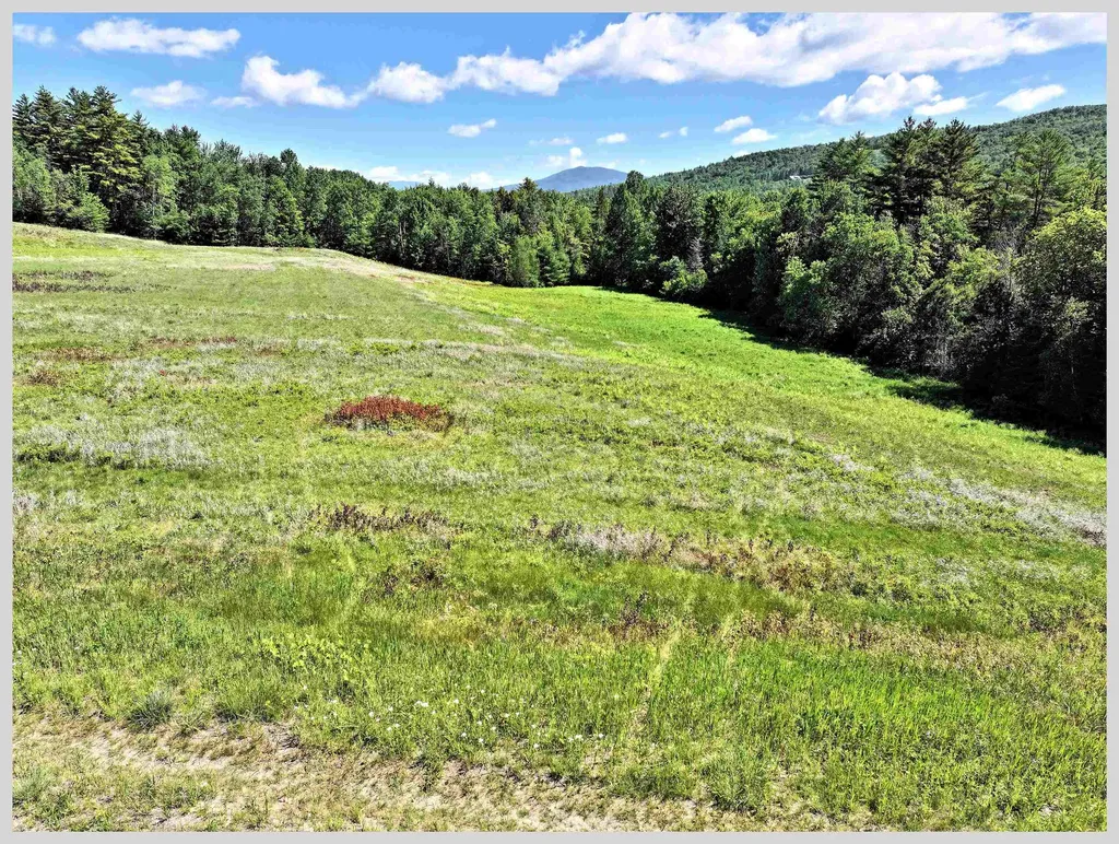 206 River Road Groton NH 03266