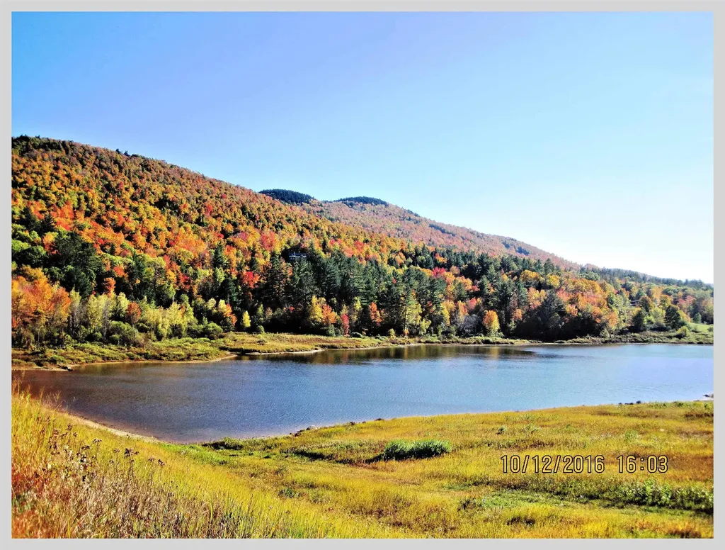 206 River Road Groton NH 03266