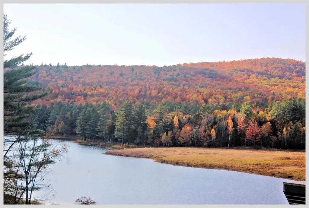 206 River Road Groton NH 03266