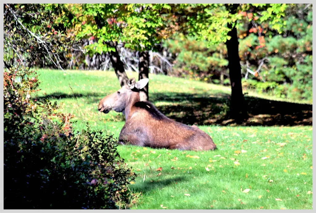 206 River Road Groton NH 03266