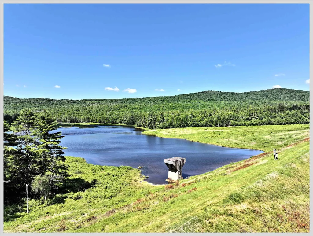 206 River Road Groton NH 03266