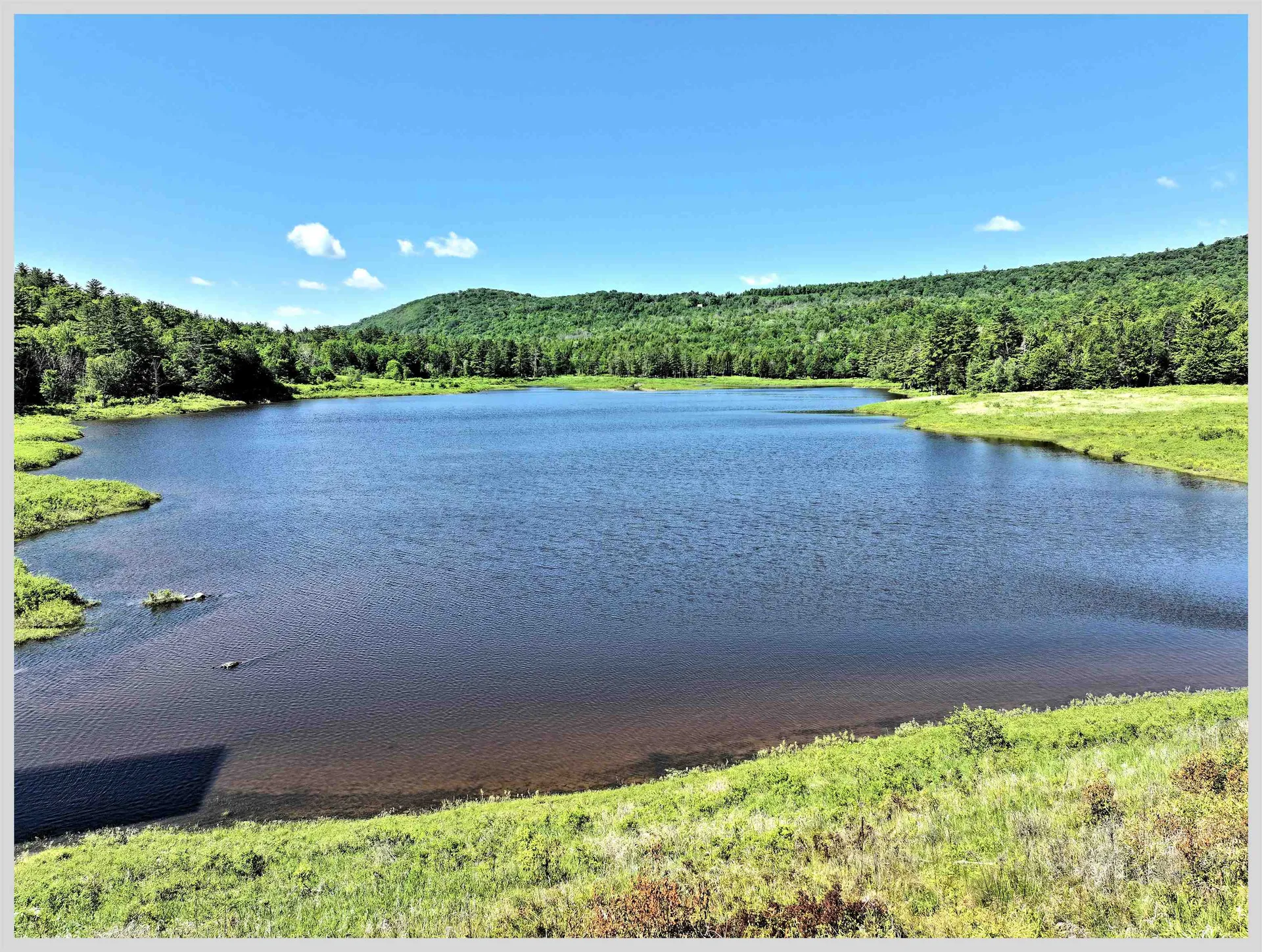 206 River Road Groton NH 03266