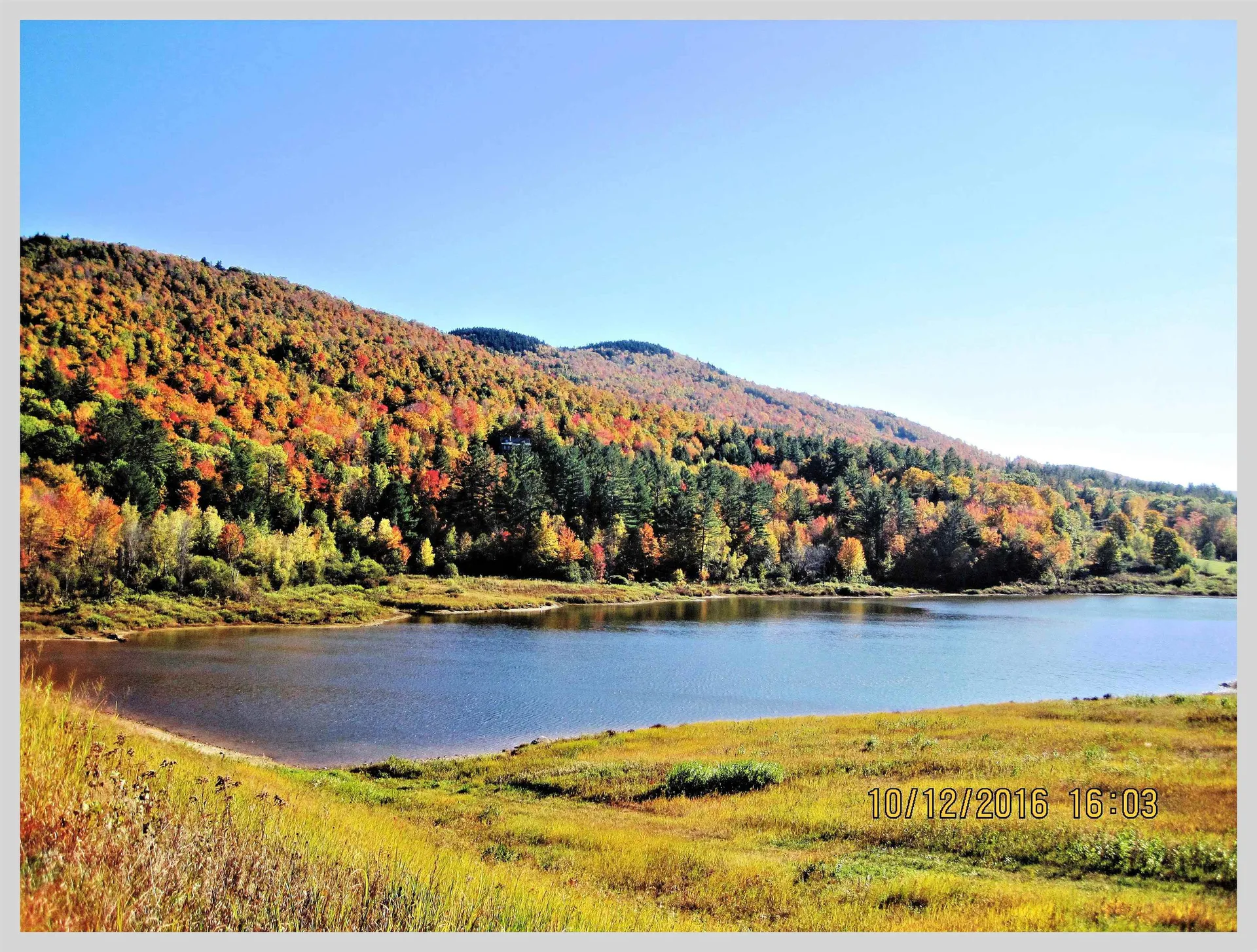 206 River Road Groton NH 03266