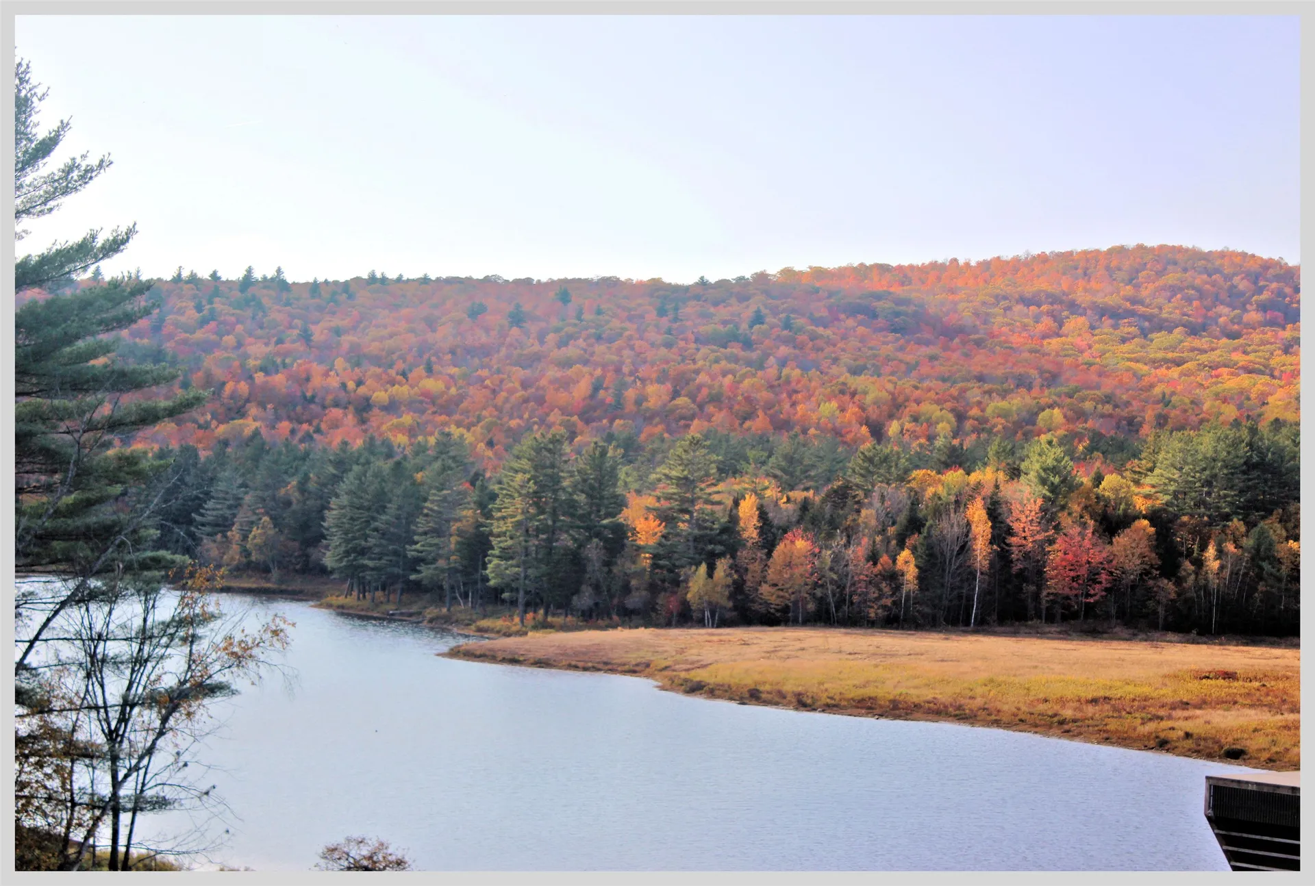 206 River Road Groton NH 03266