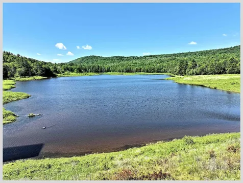 206 River Road Groton NH 03266