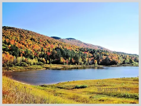 206 River Road Groton NH 03266