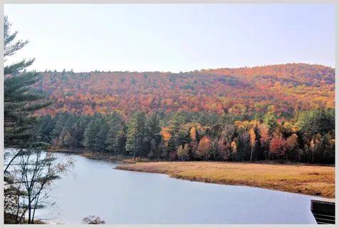 206 River Road Groton NH 03266