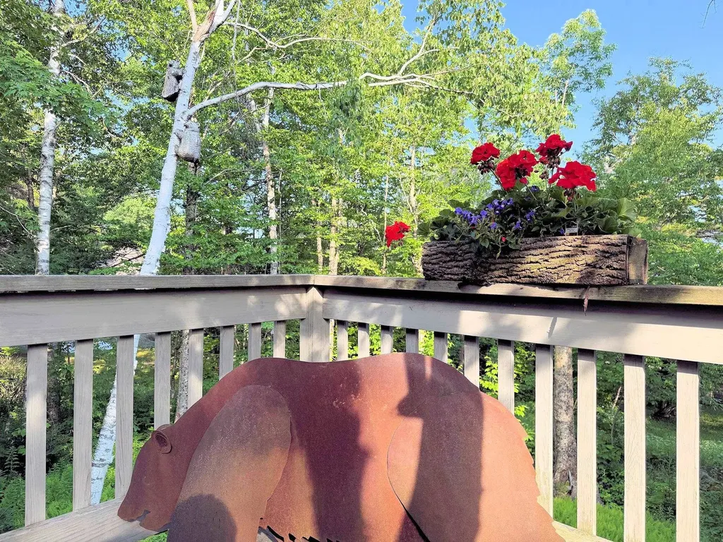 20 Blackberry Lane Peru VT 05152