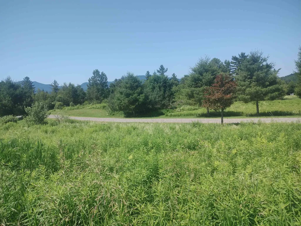 0 Plot Road Johnson VT 05656