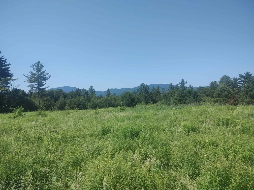 0 Plot Road Johnson VT 05656