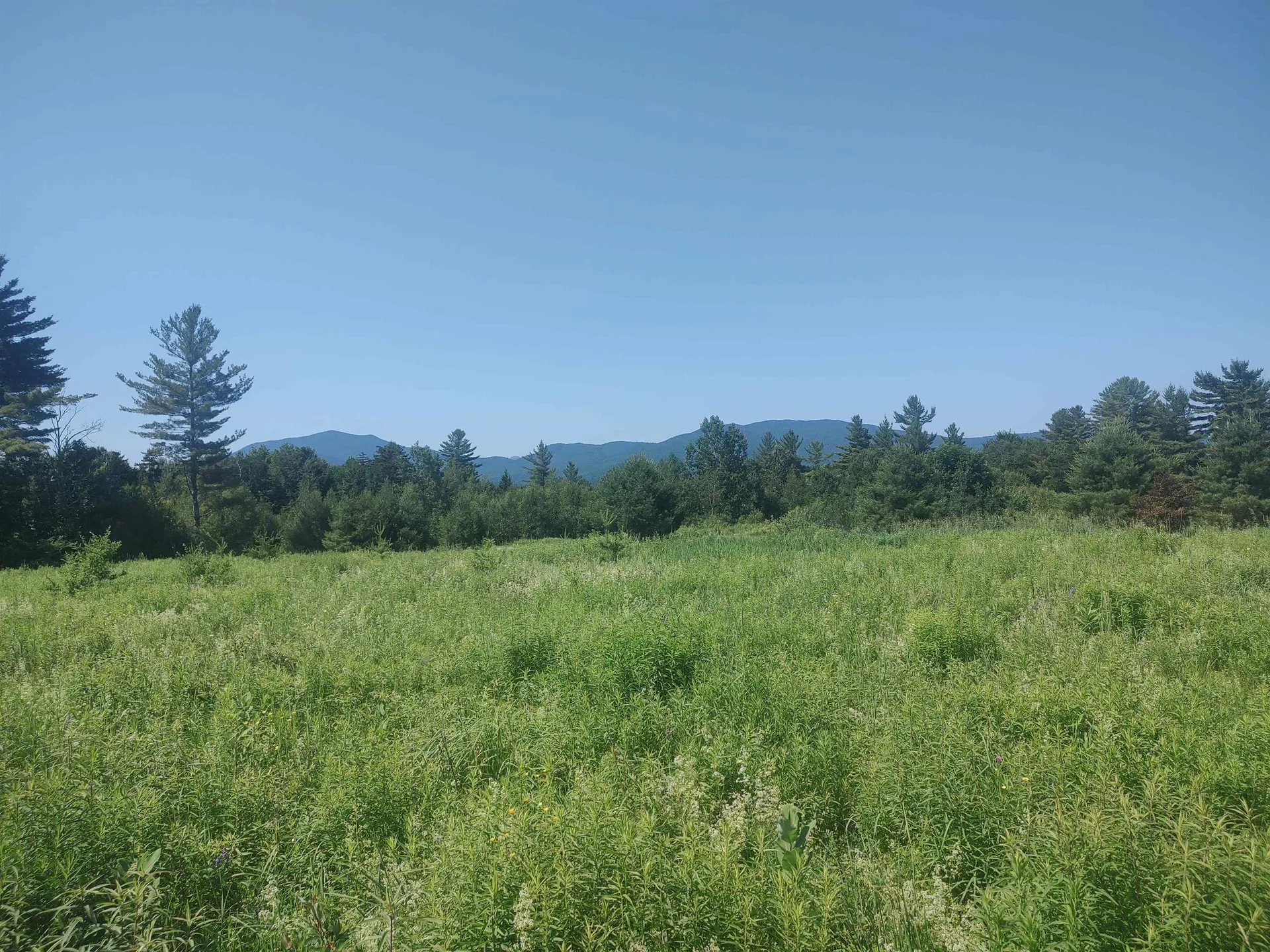 0 Plot Road Johnson VT 05656